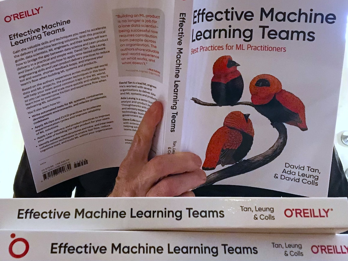 Effective Machine Learning Teams in print
