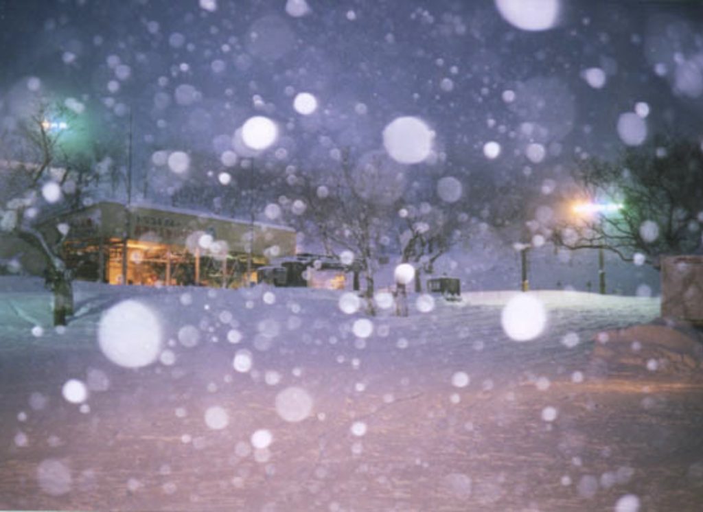 Falling snowflakes caught in a camera flash at a Niseko Hirafu ski resort