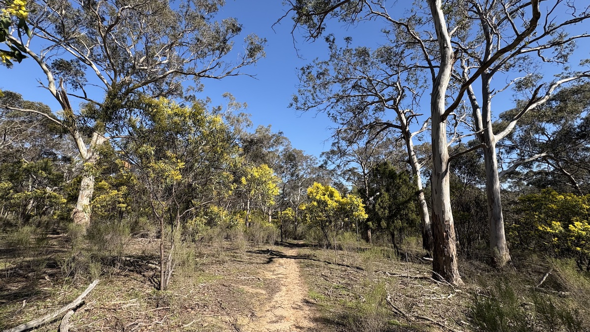 trippler multi-destination